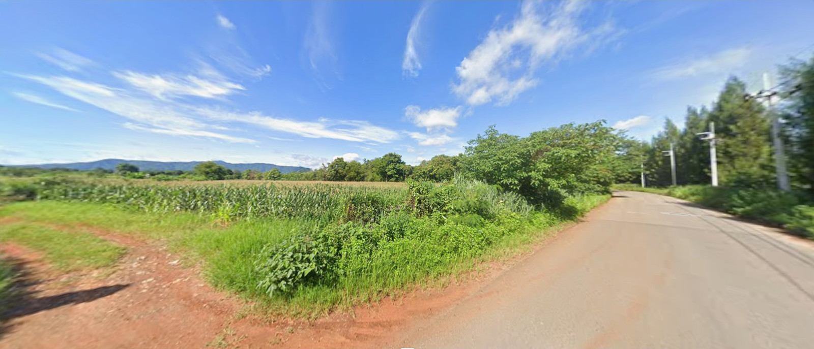 Urgent sale!! Land in Pak Chong, Khao Yai, beautiful view, good weather, no flooding. – รูปที่ 3