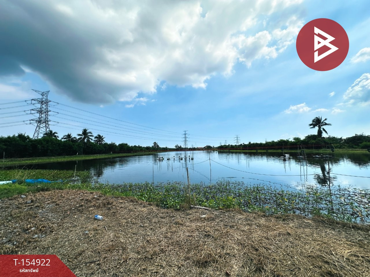 ขายที่ดิน เนื้อที่ 26 ไร่ 90 ตร.วา บ้านแพ้ว สมุทรสาคร – รูปที่ 3