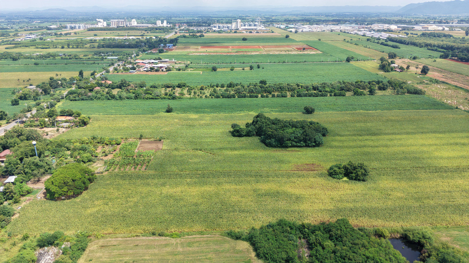 🔥The  is selling it himself! Land for sale, 24 rai, Chong Sarika Subdistrict, Phatthana Nikhom, Lopburi, next to Road 2, near Betagro 4, suitable for warehouse/agriculture, price 12 million, negotiable🔥 – รูปที่ 3