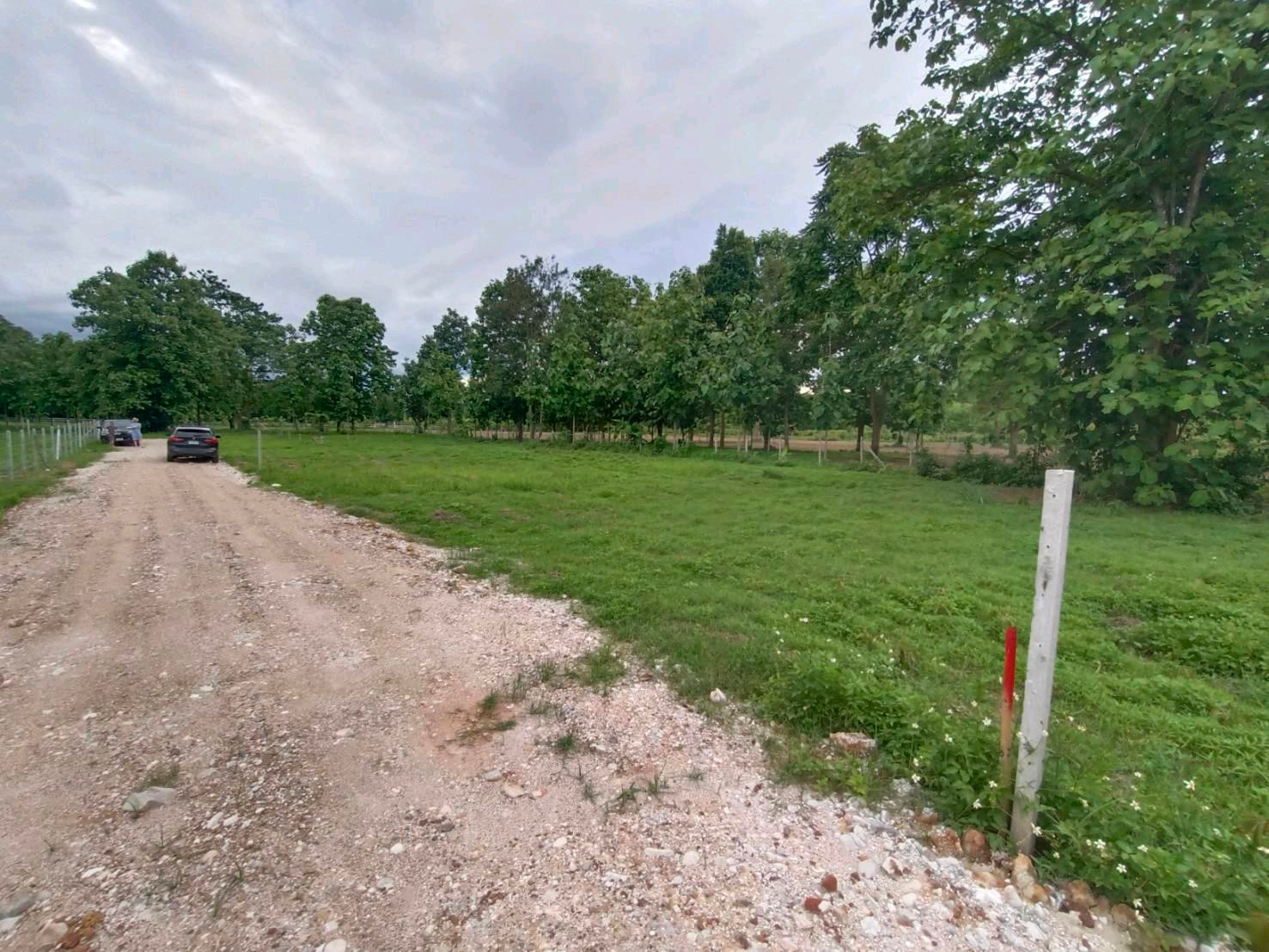 🏡 Land for sale in Nam Phrae, Hang Dong, 140 sq m, only 1.4 million baht! Wide frontage, suitable for building your dream home. 🏡 Land for sale in Nam Phrae, Hang Dong, 140 sq m, only 1.4 million baht! Wide frontage, suitable for building your dream home.