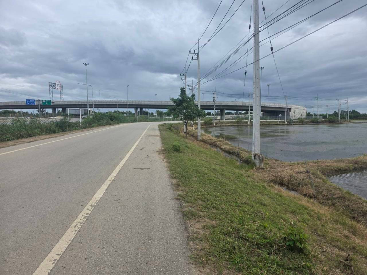 Land for sale next to the entrance and exit of the M81 motorway, Dan Tha Muang, 37 rai 3 ngan, next to the road 500 meters. – รูปที่ 3