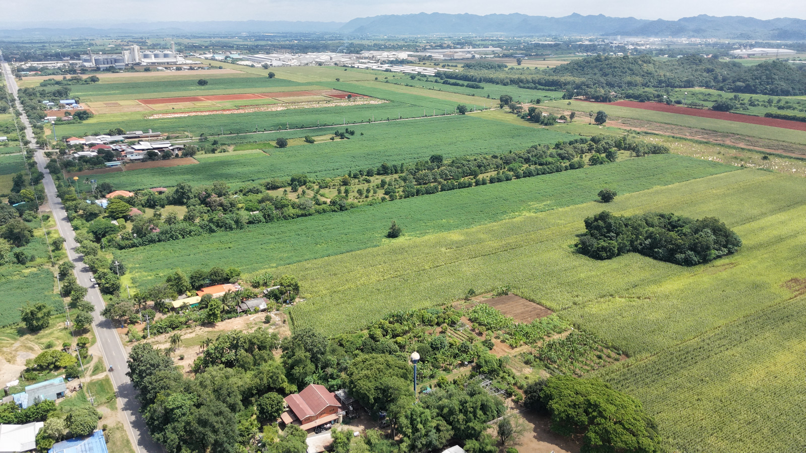 🔥The  is selling it himself! Land for sale, 24 rai, Chong Sarika Subdistrict, Phatthana Nikhom, Lopburi, next to Road 2, near Betagro 4, suitable for warehouse/agriculture, price 12 million, negotiable🔥 – รูปที่ 4