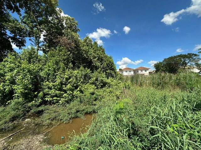 Land 75 square wah, Baan Sinthon Rangsit - Pathum Thani, for sale very cheap. – รูปที่ 2