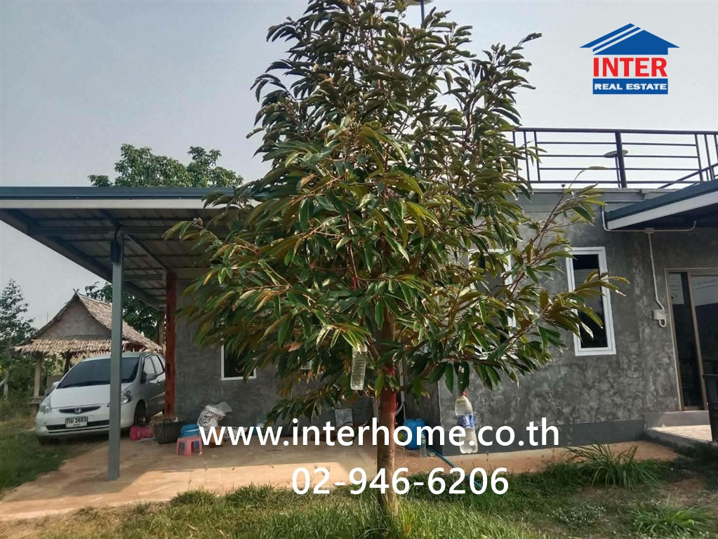 Land + house, 1 floor, 1 rai 200 sq m. Land + house near Dan Chang Wittaya School, Suphanburi, Kra Siew Dam, Soi 1 Tai, Phra That Mahaprom Road, Dan Chang, Suphan Buri. – รูปที่ 4