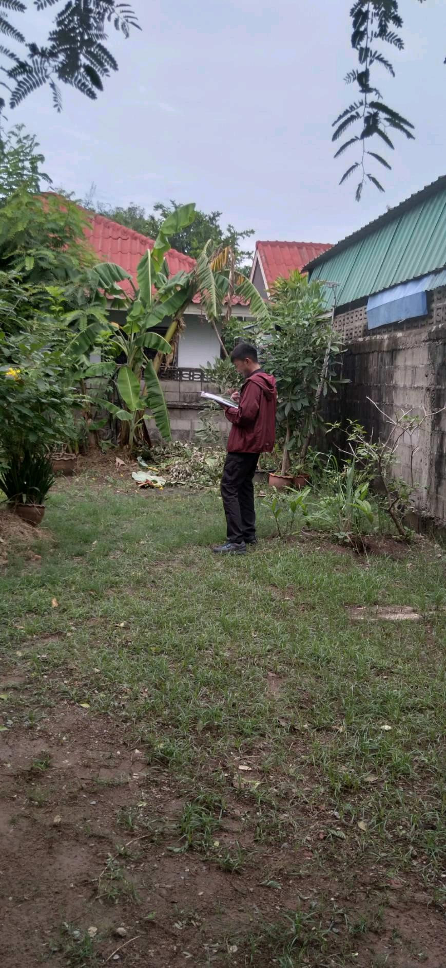 🏡 Land for sale 52 square wah — Khok Sung, Nakhon Ratchasima | 💰 Selling for only 500,000 baht – รูปที่ 3