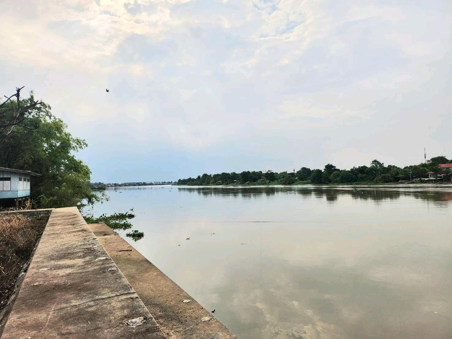 🌿✨ Beautiful plot of land along the Chao Phraya River. Pathum Thani-Bang Pahan, size 432 square meters, alley only 50 meters. The front of the plot next to the river is 45 meters long, with a view of the bridge and water curve, very beautiful, suitable fo – รูปที่ 2