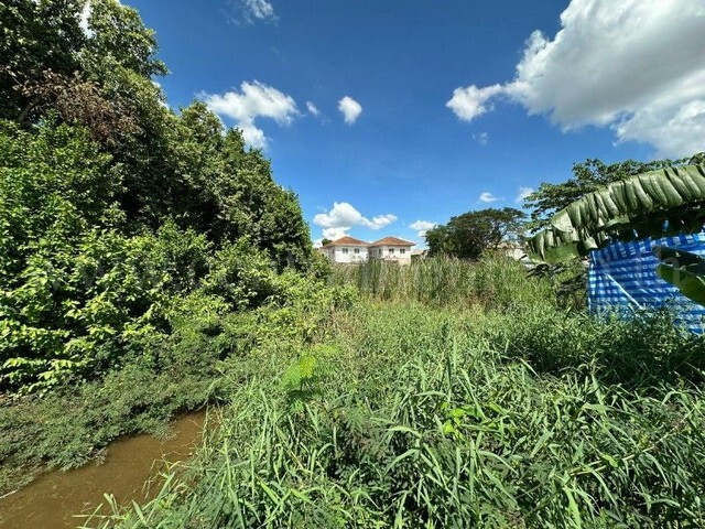 Land 75 square wah, Baan Sinthon Rangsit - Pathum Thani, for sale very cheap. – รูปที่ 3