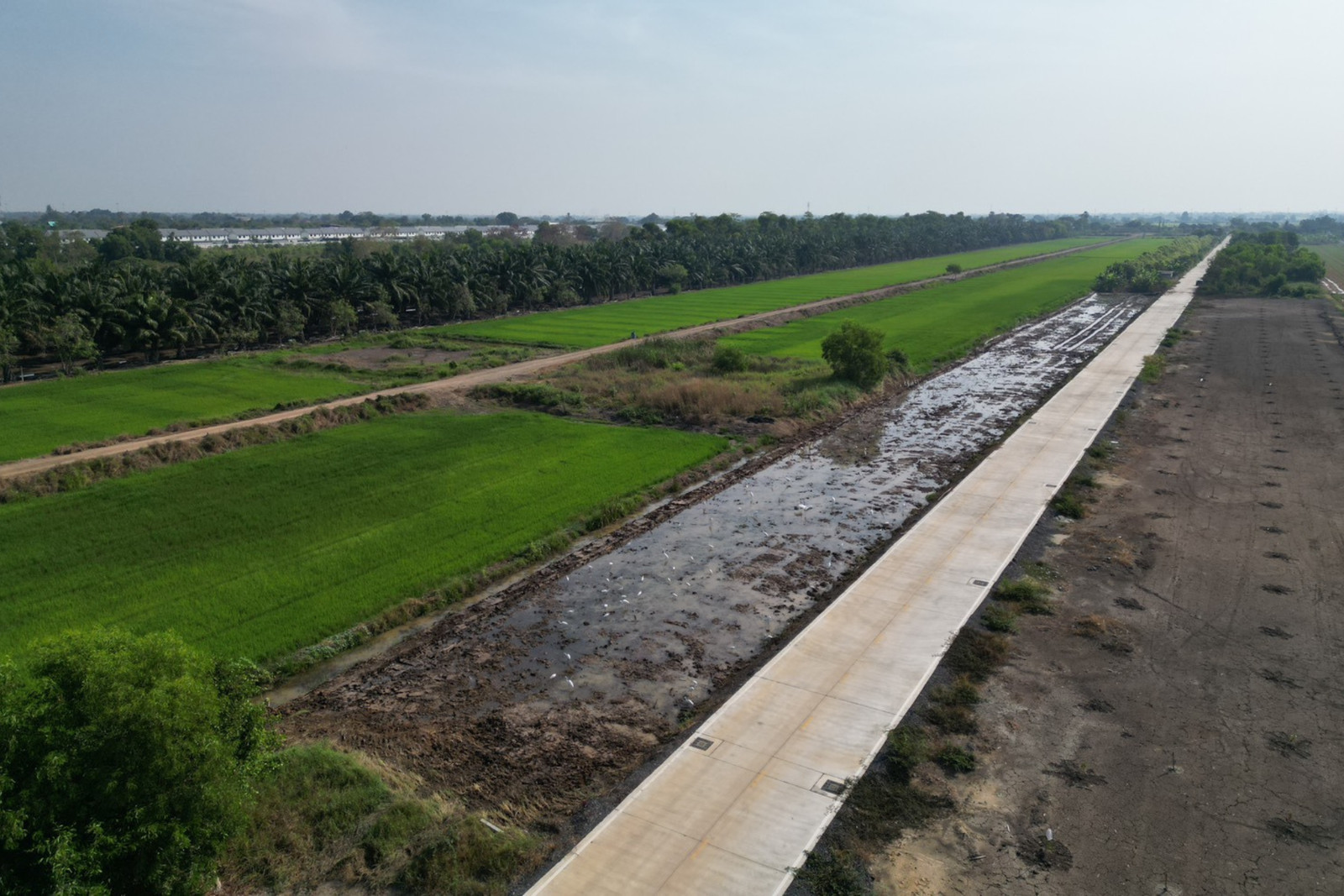 📣 Land for sale 1-0-35.7 rai, Khlong 3, Soi Khlong Sam 13/5-1, near Thai Market ❗🔥 📣 Land for sale 1-0-35.7 rai, Khlong 3, Soi Khlong Sam 13/5-1, near Thai Market ❗🔥