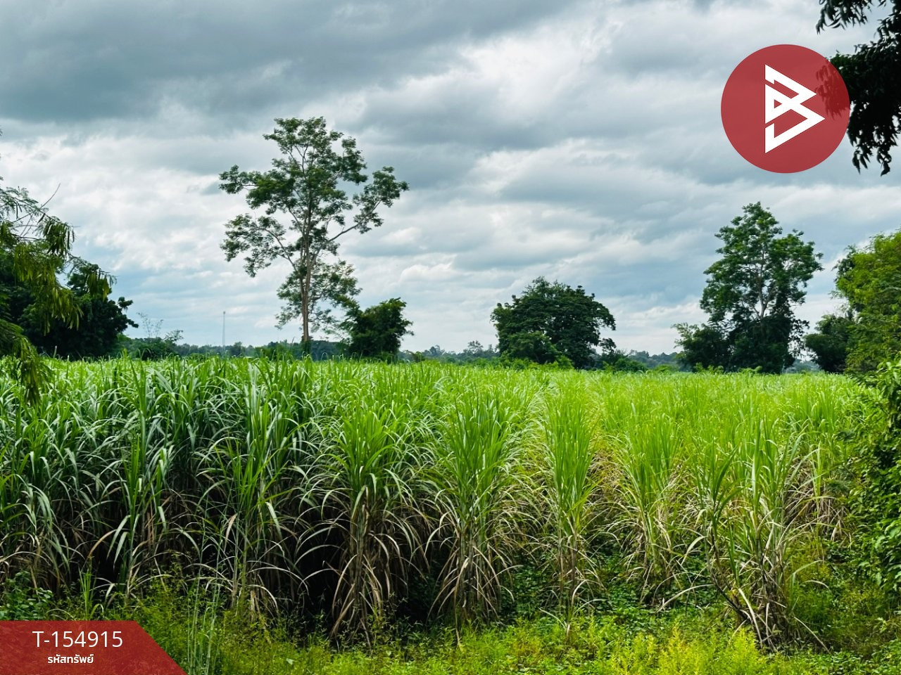 Land for sale, area 17 rai 2 ngan 72 sq m, Nong Phai, Phetchabun, next to Phor Chor 2005 Road. – รูปที่ 4