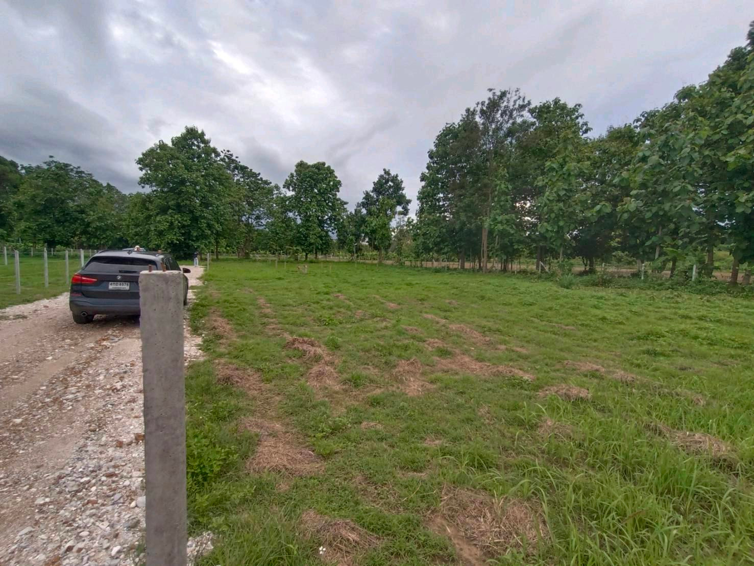 🏡 Land for sale in Nam Phrae, Hang Dong, 140 sq m, only 1.4 million baht! Wide frontage, suitable for building your dream home. – รูปที่ 3
