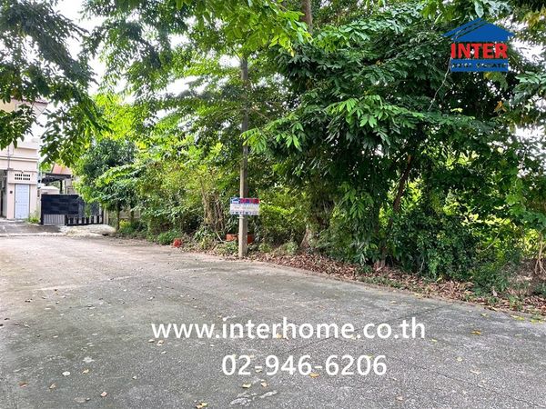 ที่ดินเปล่า 73 ตร.ว. ที่ดิน หมู่บ้านปาริชาติ345 ใกล้สำนักงานเทศบาลเมืองบางคูวัด ถนนหลวงหมายเลข345 ถนนราชพฤกษ์ เมืองปทุมธานี ปทุมธานี 