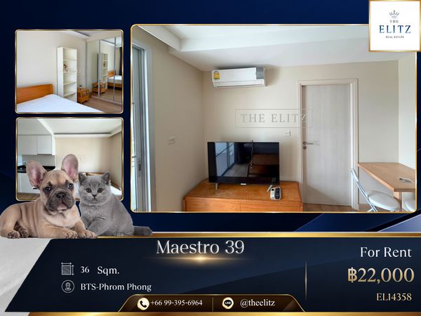  ✨ Pet Friendly Luxury Living in Sukhumvit 39 —  European Classic Style & Warmth | Perfect Home for Furry Friends ✨