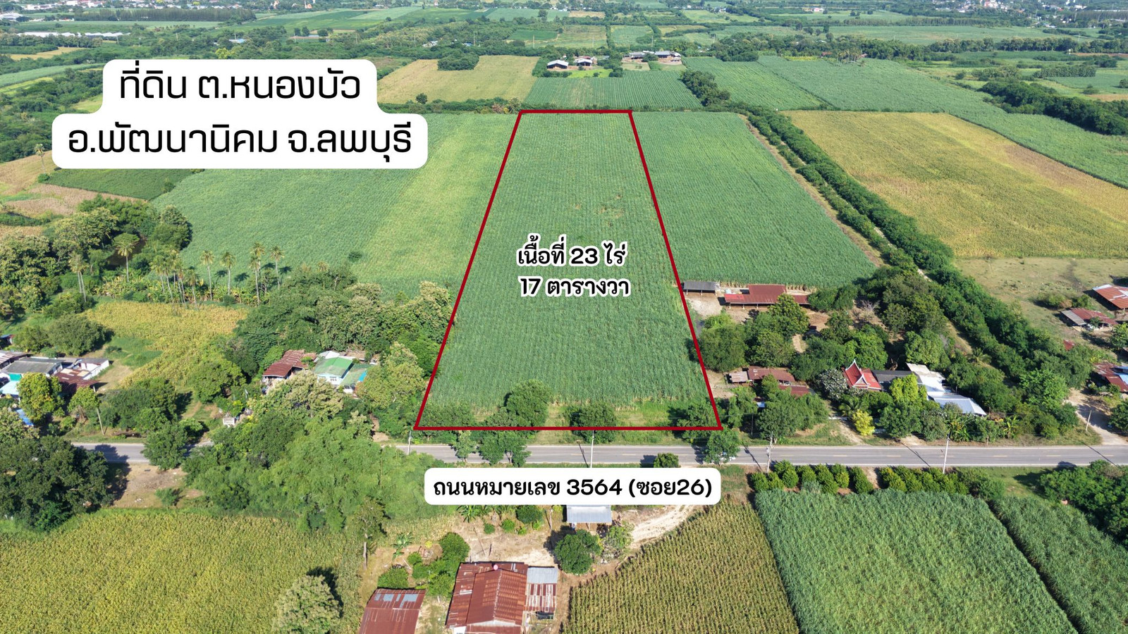 🔥Urgent sale, beautiful land, 23 rai, Nong Bua Subdistrict, Phatthana Nikhom, Lopburi, next to paved road 3564, near Pa Sak Dam, only 2.6 hundred thousand per rai, whole plot 6 million baht (negotiable)🔥