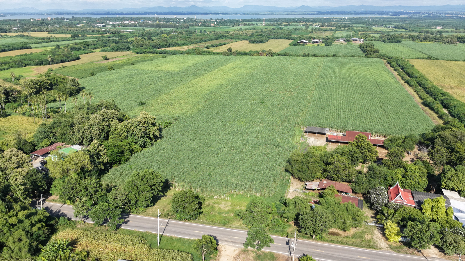 🔥Urgent sale, beautiful land, 23 rai, Nong Bua Subdistrict, Phatthana Nikhom, Lopburi, next to paved road 3564, near Pa Sak Dam, only 2.6 hundred thousand per rai, whole plot 6 million baht (negotiable)🔥 – รูปที่ 2
