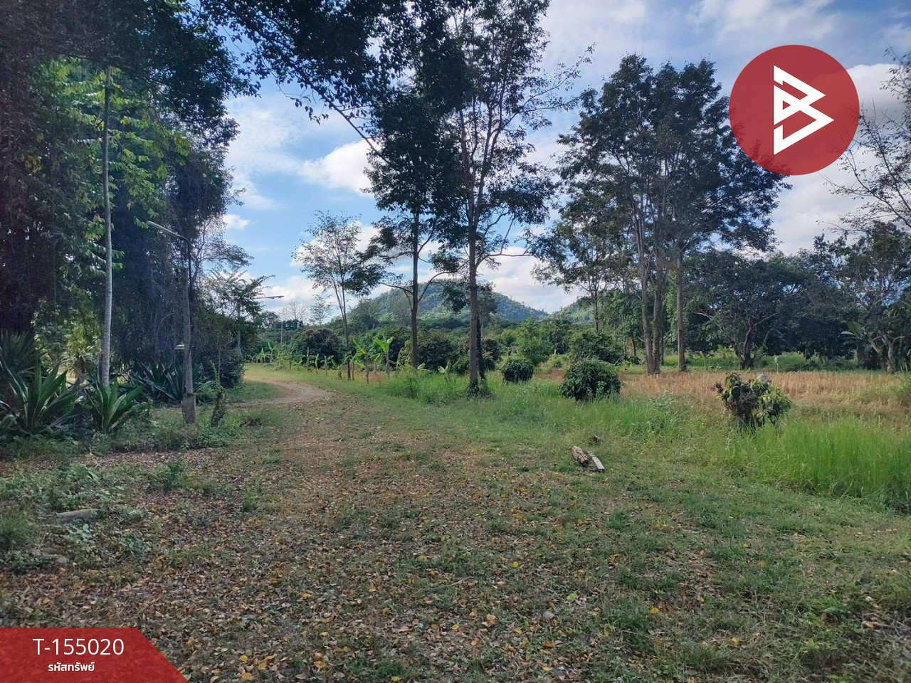 ขายที่ดิน เนื้อที่ 23 ไร่ 3 งาน 47 ตร.วา สอยดาว จันทบุรี – รูปที่ 3
