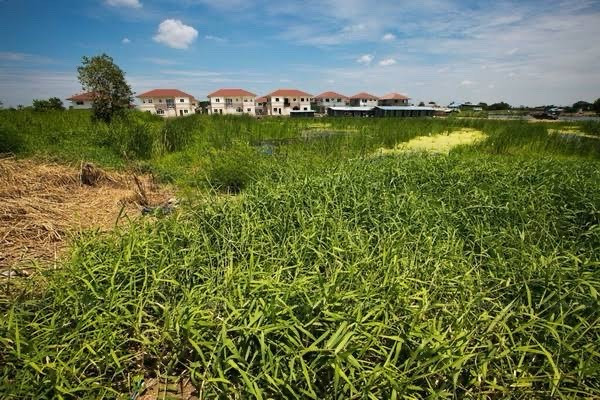 Land for sale Land for sale