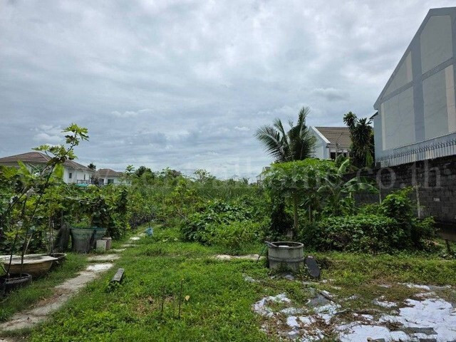 Land 400 square wah, next to Ratchaphruek Road, behind The Walk Ratchaphruek Department Store, 400 meters. – รูปที่ 2