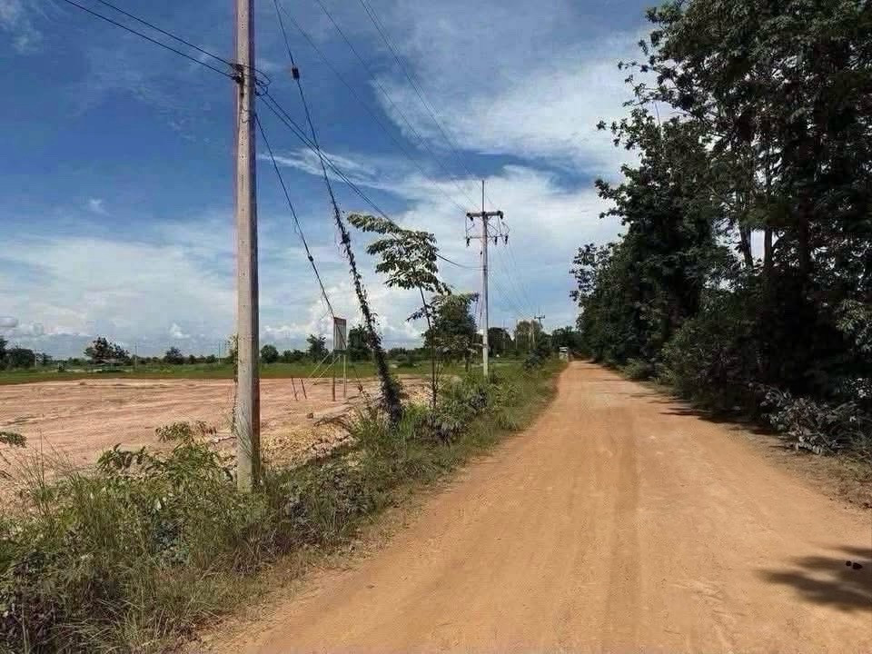 ที่ดินเปล่า 8ไร่ บ้านกล้วย สุโขทัย มีโฉนด ติดถนน ที่ดินถมแล้ว น้ำไฟเข้าถึง – รูปที่ 3