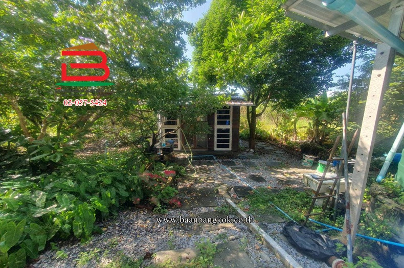 Land with house Near Wat Mai Khlong Kao-Nong Suea, area 2 rai, Bueng Ba Subdistrict, Nong Suea District. Pathum Thani Province – รูปที่ 3