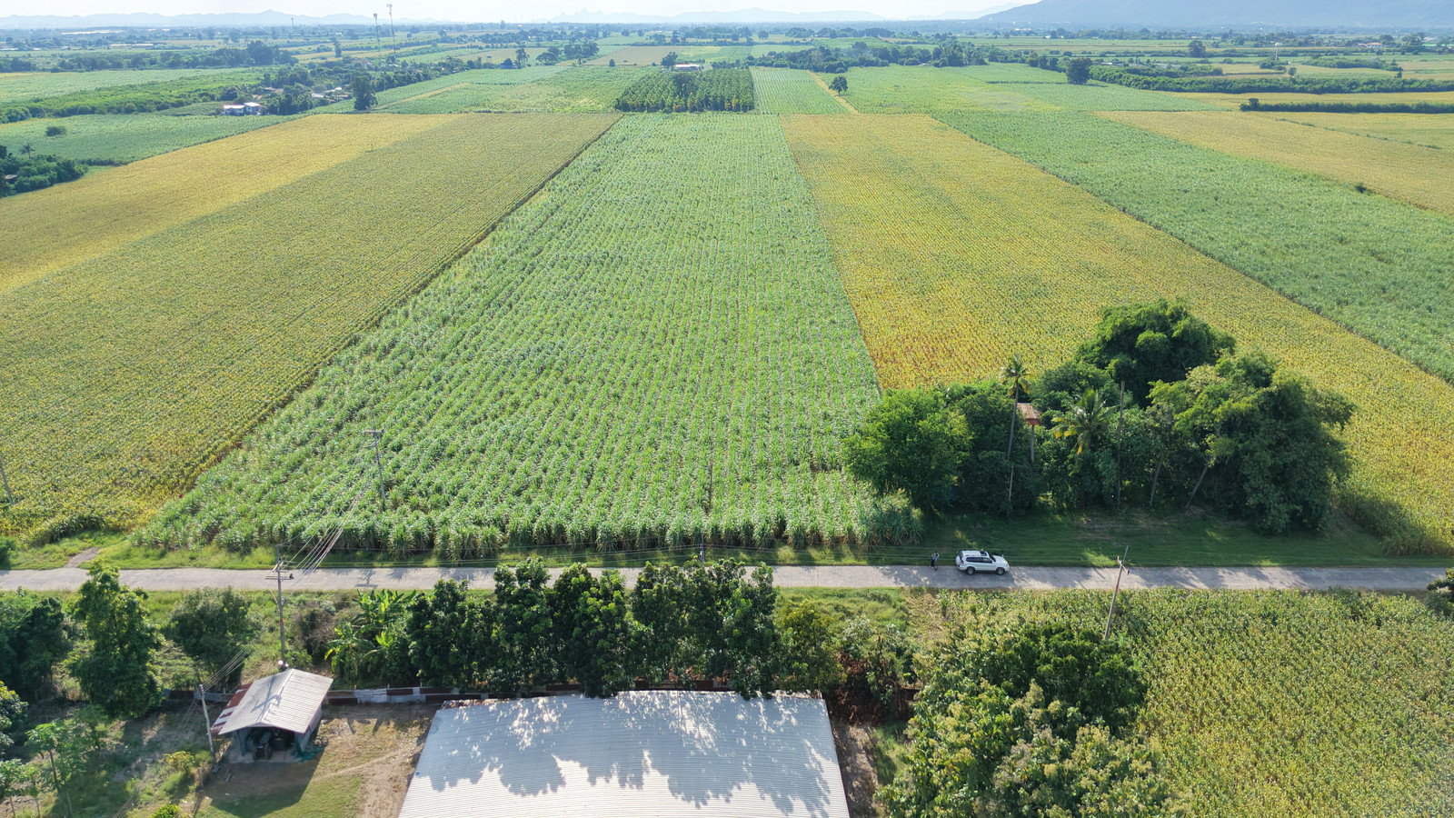 🔥 Prime location near the water! Land for sale, 23 rai, Manao Wan, Phatthana Nikhom, fronting on a concrete road. Near Pa Sak Cholasit Dam Suitable for farming/garden house, whole plot only 6 million baht🔥 – รูปที่ 2