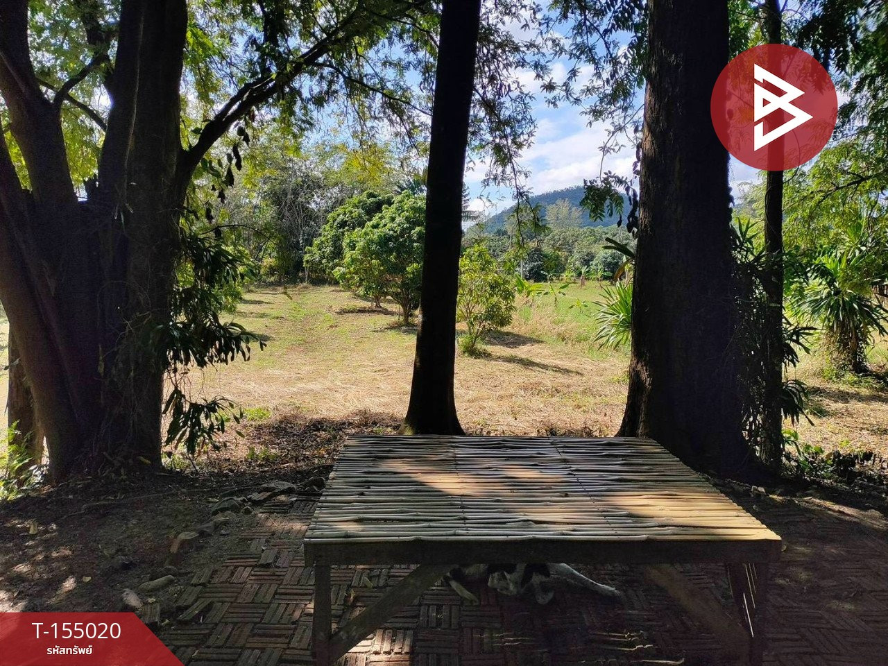 ขายที่ดิน เนื้อที่ 23 ไร่ 3 งาน 47 ตร.วา สอยดาว จันทบุรี – รูปที่ 2