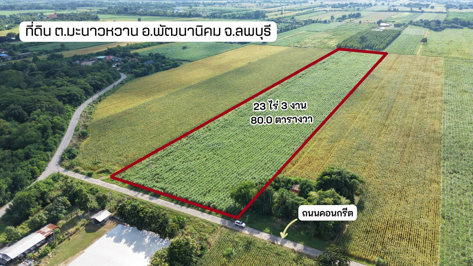 🔥 Prime location near the water! Land for sale, 23 rai, Manao Wan, Phatthana Nikhom, fronting on a concrete road. Near Pa Sak Cholasit Dam Suitable for farming/garden house, whole plot only 6 million baht🔥
