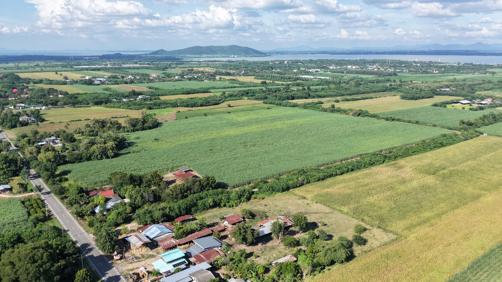 🔥Urgent sale, beautiful land, 23 rai, Nong Bua Subdistrict, Phatthana Nikhom, Lopburi, next to paved road 3564, near Pa Sak Dam, only 2.6 hundred thousand per rai, whole plot 6 million baht (negotiable)🔥 – รูปที่ 4