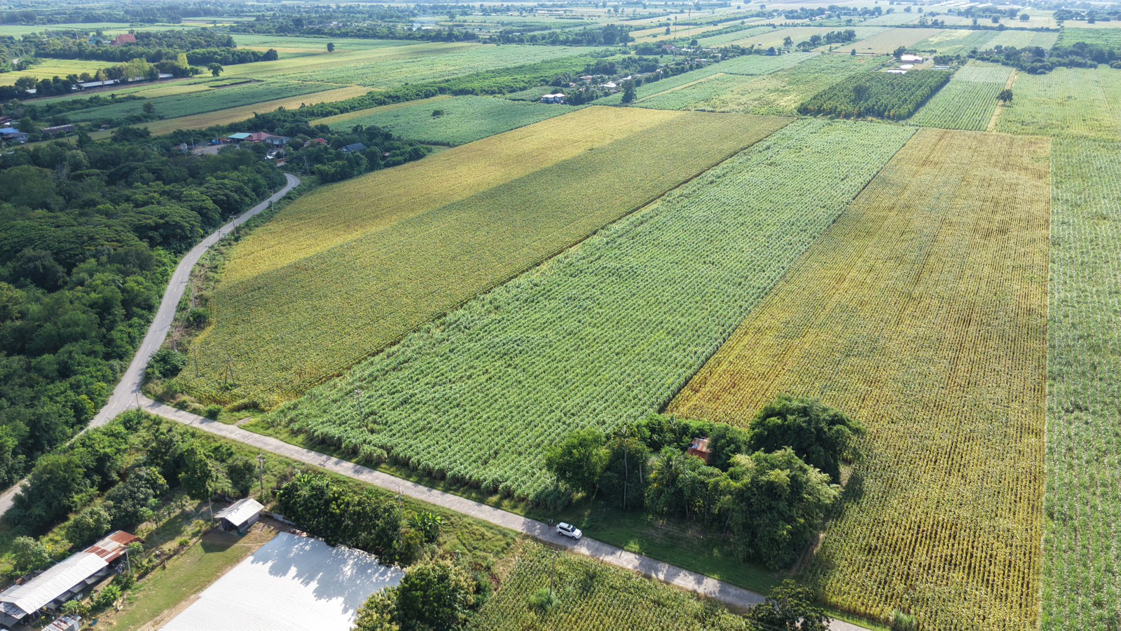 🔥 Prime location near the water! Land for sale, 23 rai, Manao Wan, Phatthana Nikhom, fronting on a concrete road. Near Pa Sak Cholasit Dam Suitable for farming/garden house, whole plot only 6 million baht🔥 – รูปที่ 3