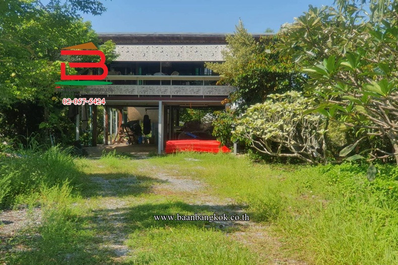 Land with house Near Wat Mai Khlong Kao-Nong Suea, area 2 rai, Bueng Ba Subdistrict, Nong Suea District. Pathum Thani Province – รูปที่ 2