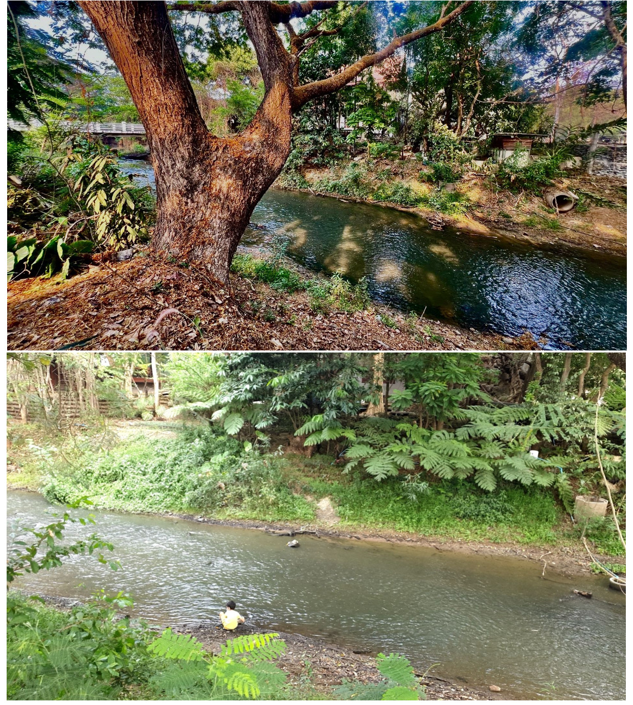 Corner plot of land for sale, 135 sq m, Riverside Village, Chiang Mai | Already filled, Red Garuda title deed, near Lam Mueang, price 4.98 million baht,  selling it himself. – รูปที่ 2