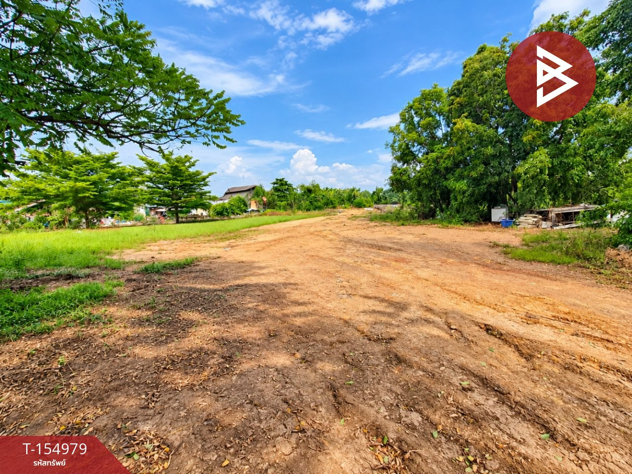 Land for sale, already filled, divided for sale, area 1 rai, Bang Tin Ped, Chachoengsao – รูปที่ 3