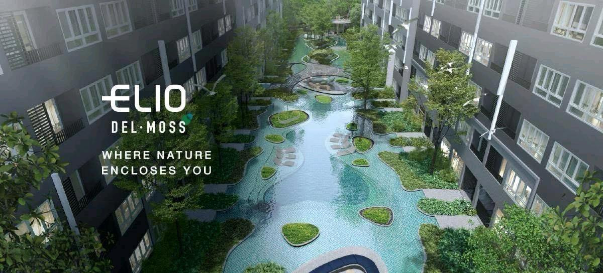 ☀️ Condo for sale: Elio Moss. Peace of mind about any earthquakes. The room is normal. ☀️ Condo for sale: Elio Moss. Peace of mind about any earthquakes. The room is normal.