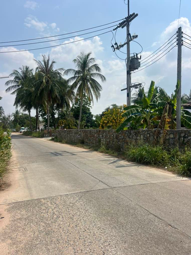 ขายที่ดิน พร้อมโรงงาน – รูปที่ 3