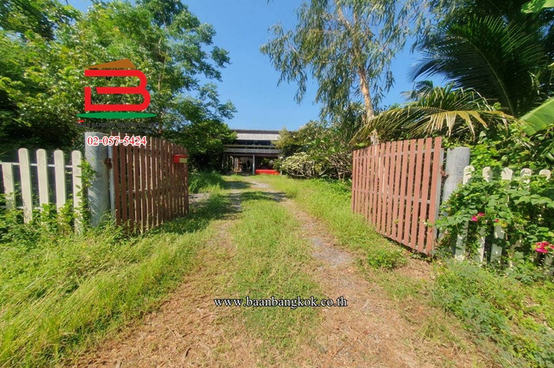 Land with house Near Wat Mai Khlong Kao-Nong Suea, area 2 rai, Bueng Ba Subdistrict, Nong Suea District. Pathum Thani Province