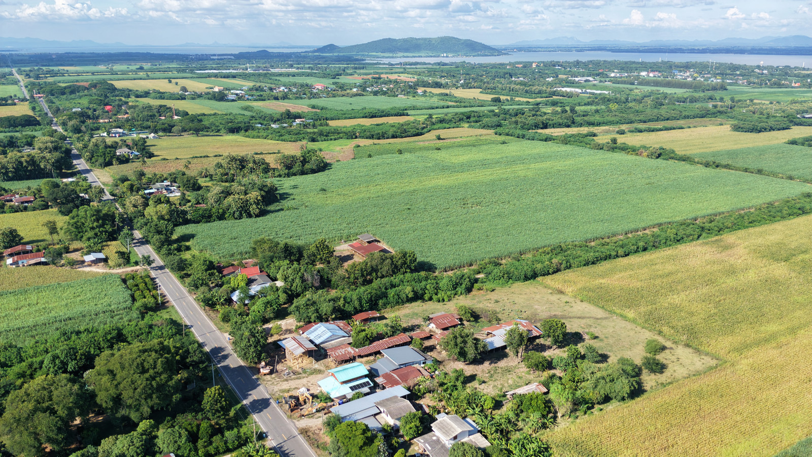 🔥Urgent sale, beautiful land, 23 rai, Nong Bua Subdistrict, Phatthana Nikhom, Lopburi, next to paved road 3564, near Pa Sak Dam, only 2.6 hundred thousand per rai, whole plot 6 million baht (negotiable)🔥 – รูปที่ 3