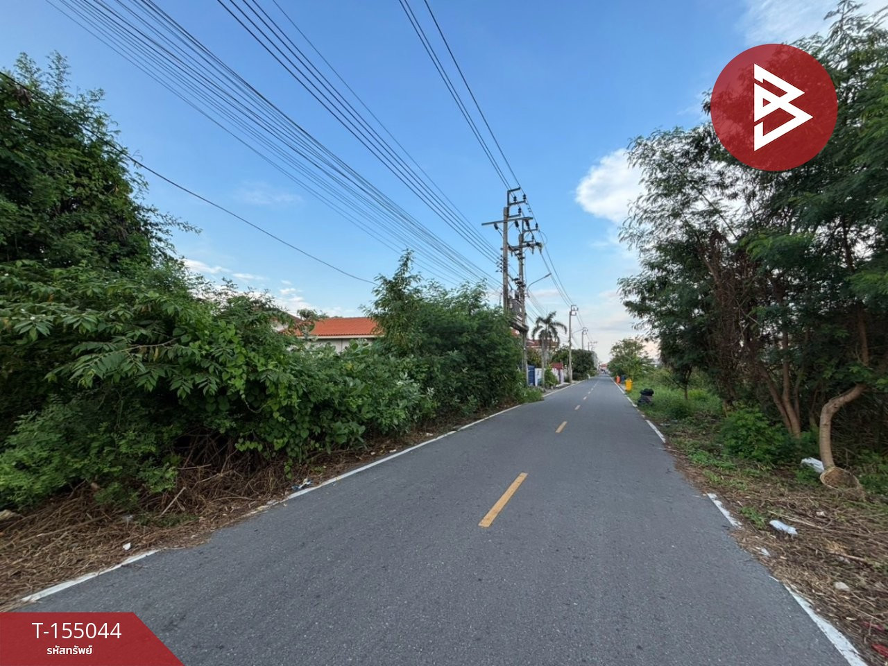 ขายที่ดินแปลงสวย เนื้อที่ 63 ตร.วา ซอยลำโพ 41 นนทบุรี ทำเลดี – รูปที่ 4