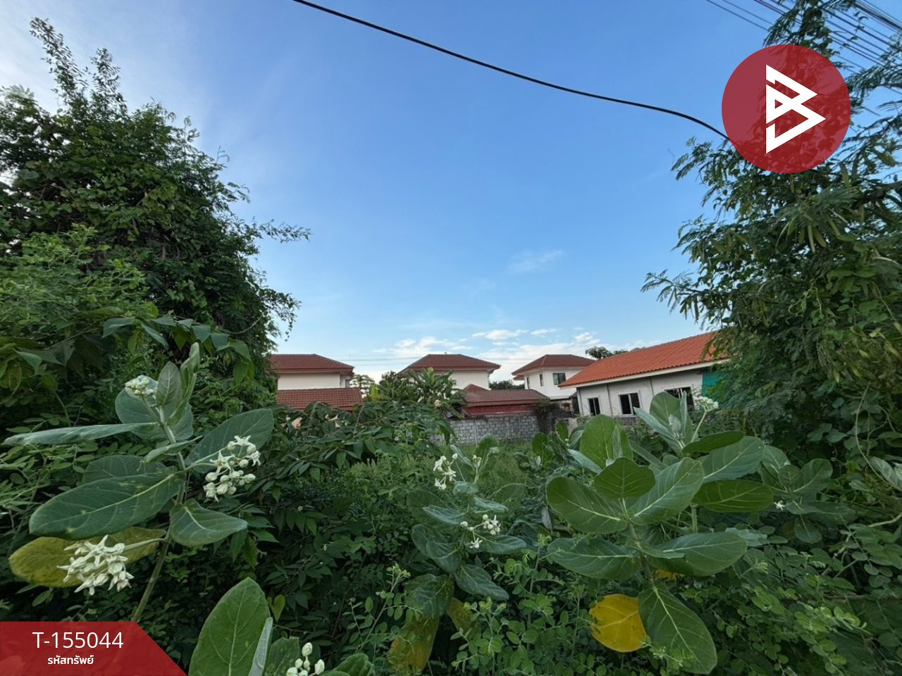 ขายที่ดินแปลงสวย เนื้อที่ 63 ตร.วา ซอยลำโพ 41 นนทบุรี ทำเลดี – รูปที่ 3