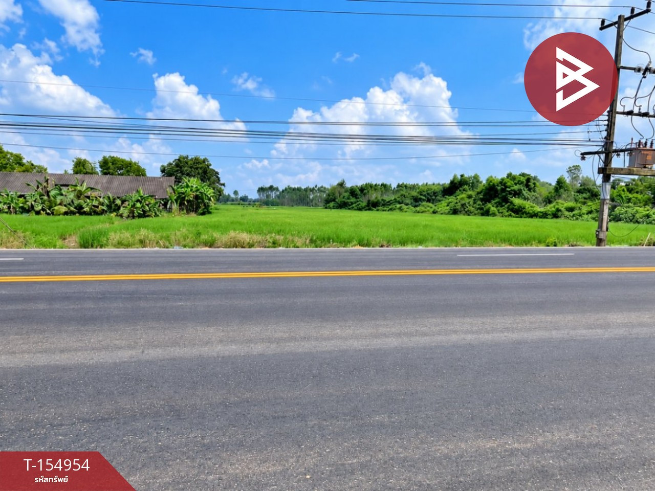 Rice field land for sale, divided area 10 rai 16 sq m, Si Mahosot, Prachinburi – รูปที่ 2