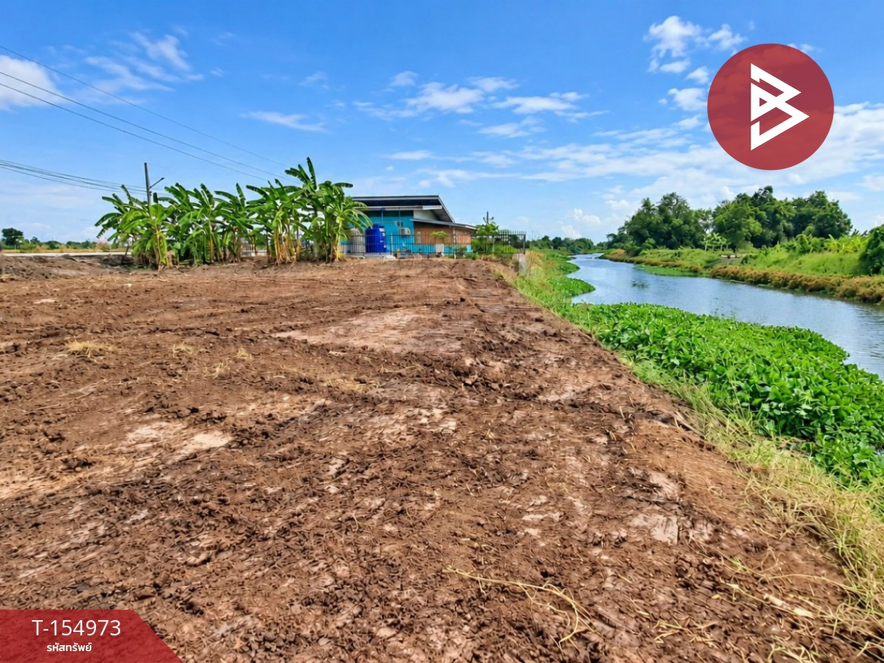  ขายที่ดิน เนื้อที่ 1 งาน บางน้ำปรี้ยว ฉะเชิงเทรา – รูปที่ 3
