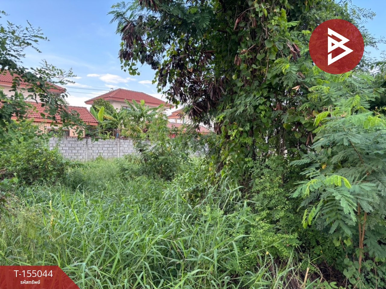 ขายที่ดินแปลงสวย เนื้อที่ 63 ตร.วา ซอยลำโพ 41 นนทบุรี ทำเลดี – รูปที่ 2