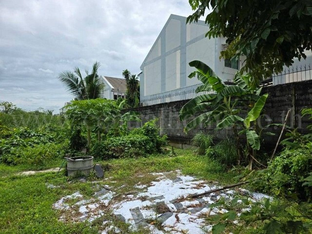 Land 400 square wah, next to Ratchaphruek Road, behind The Walk Ratchaphruek Department Store, 400 meters. – รูปที่ 4