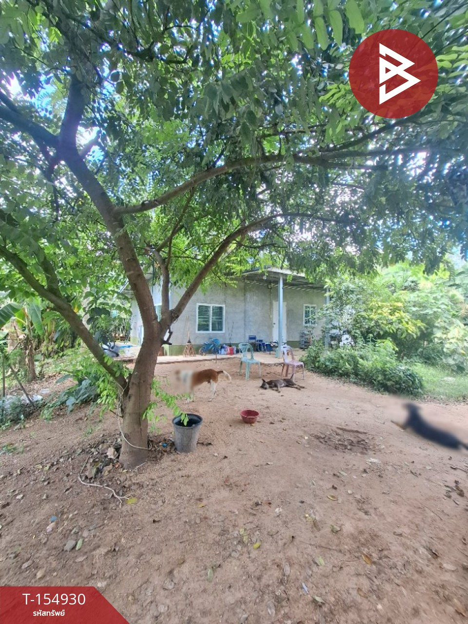 Land for sale with buildings Starting area 1 ngan 97.2 sq m, Photharam, Ratchaburi – รูปที่ 4