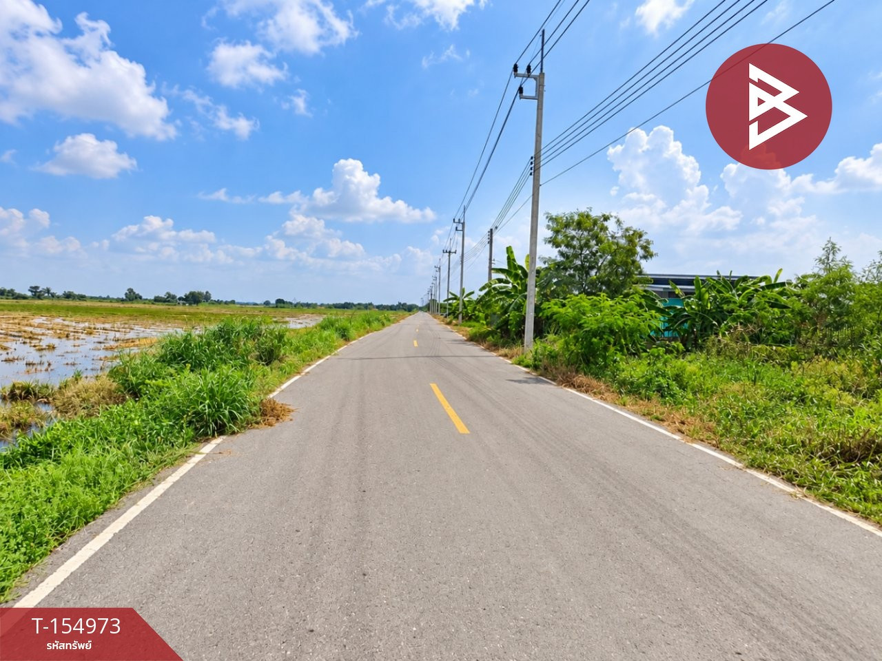  ขายที่ดิน เนื้อที่ 1 งาน บางน้ำปรี้ยว ฉะเชิงเทรา – รูปที่ 2