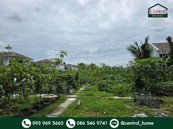 Land 400 square wah, next to Ratchaphruek Road, behind The Walk Ratchaphruek Department Store, 400 meters.
