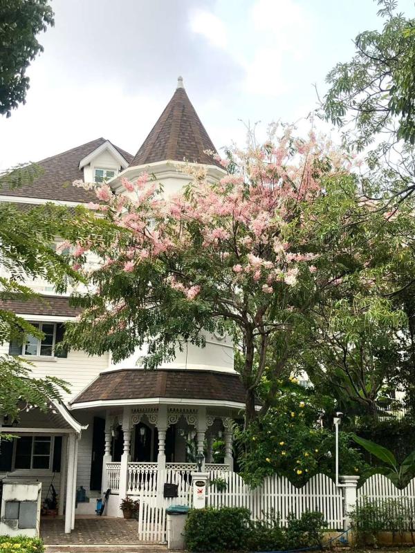 แฟนตาเซีย วิลล่า 2 / 4 ห้องนอน (ให้เช่า), Fantasia Villa 2 / 4 Bedrooms (FOR RENT) DA292