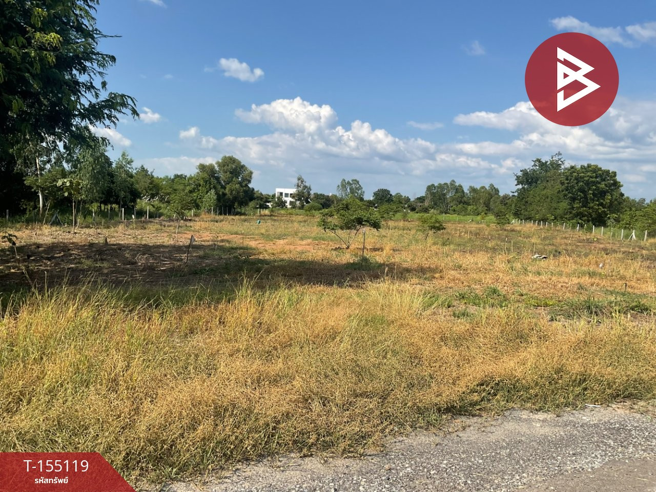 Land for sale, already filled, area 3 rai 3 ngan 61 square wah, next to the edge of Bueng Ratchanok, Wang Thong District, Phitsanulok Province. – รูปที่ 2