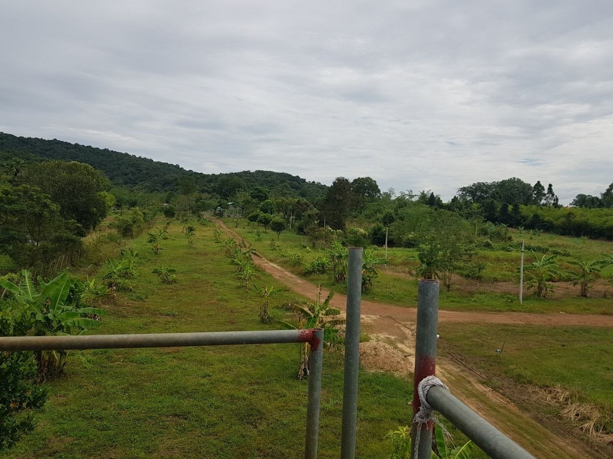 ขายที่ดินปราจีนบุรี 26 ไร่ 2 งาน 92 ตร.ว. ใกล้ทางขึ้นเขาใหญ่ ใกล้น้ำตกวังตะแคง วิวเขาอีโต้ ตำบลเนินหอม – รูปที่ 3