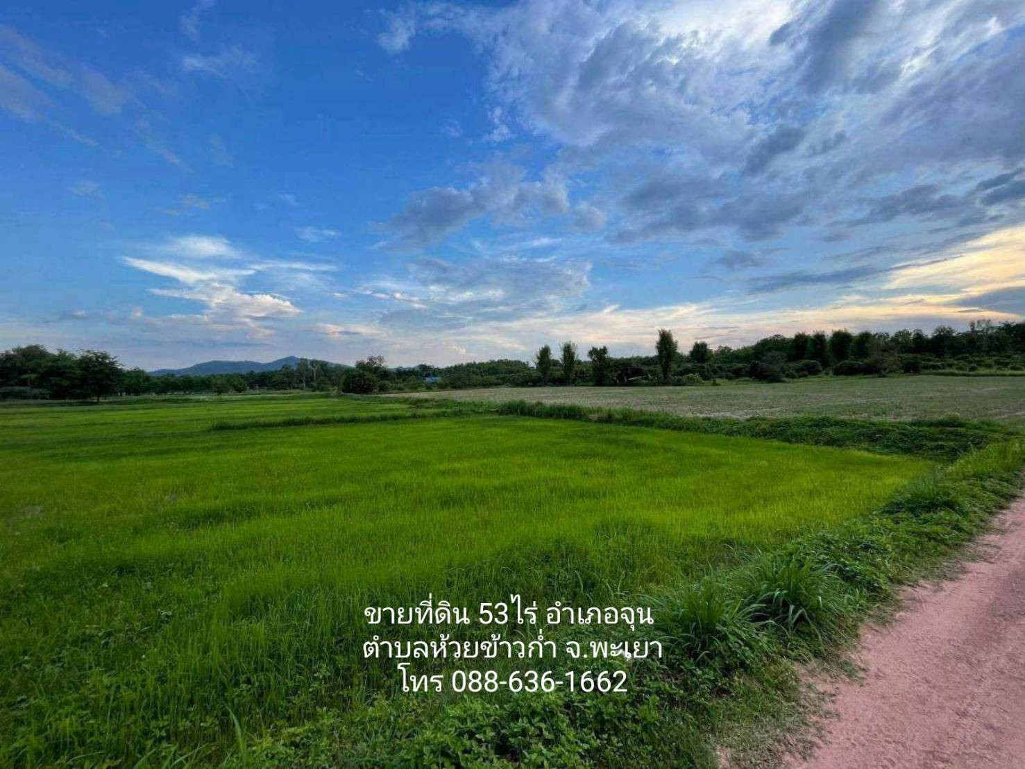ขาย ที่ดิน 53 ไร่ อำเภอจุน ต.ห้วยข้าวก่ำ จ. พะเยา (ที่ดินติดถนน พย 4023  ถึง ด้านบน ภูเขา ม่อน) โฉนดพร้อมโอน ราคาต่อรองได้ – รูปที่ 3