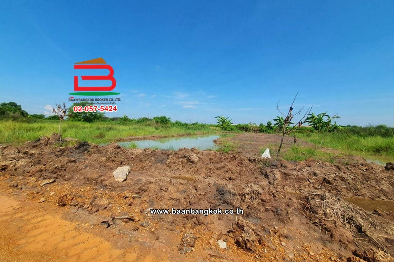 Empty land, area 100 sq m., Soi Bueng Phayom, Rangsit-Nakhon Nayok Road, Bueng Ba Subdistrict, Nong Suea District, Pathum Thani. – รูปที่ 2