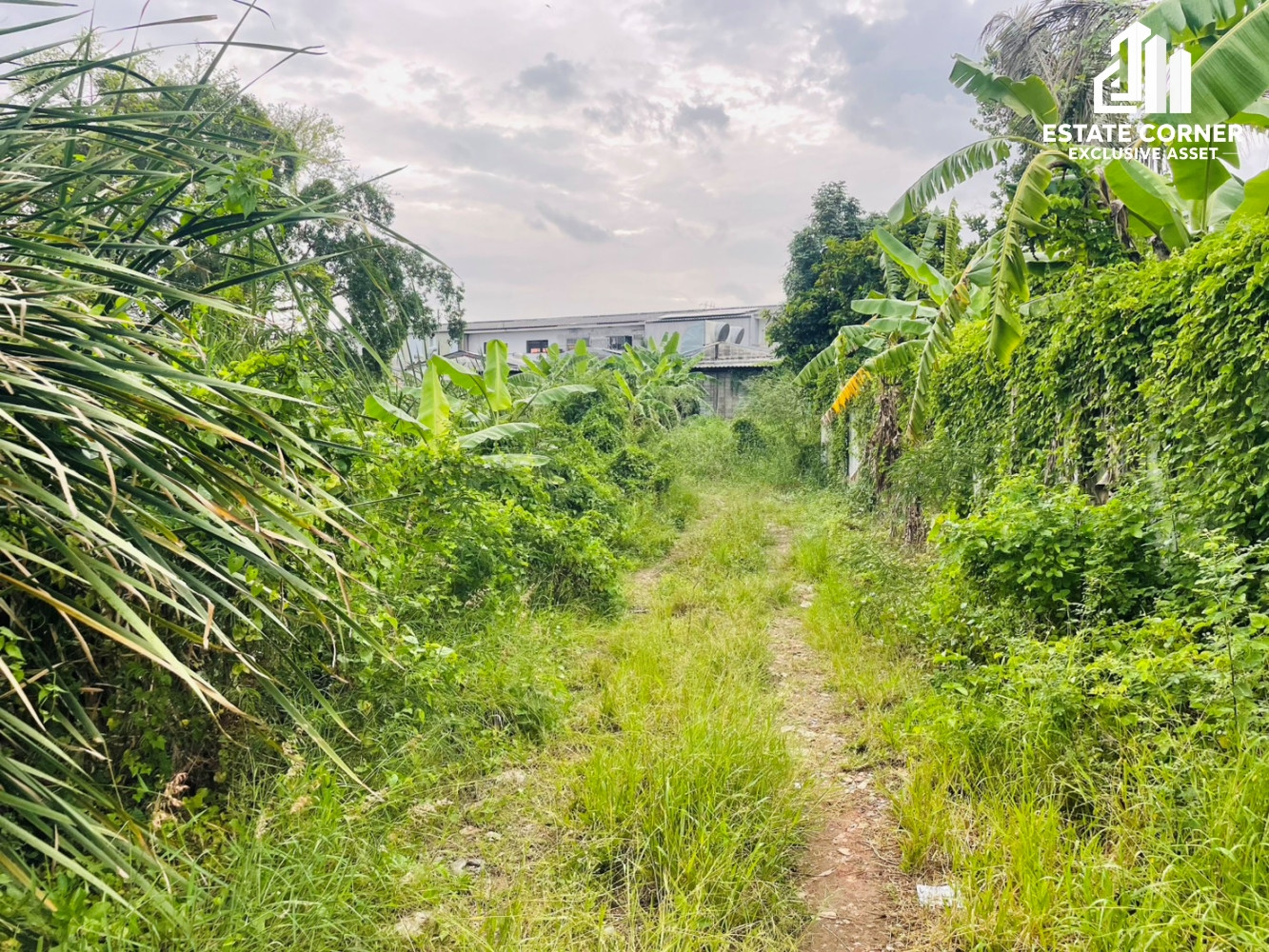 Land for sale, good location, Bang Kruai-Sai Noi Road. Near the Purple Line, Bang Phlu Station, cheap price. – รูปที่ 4